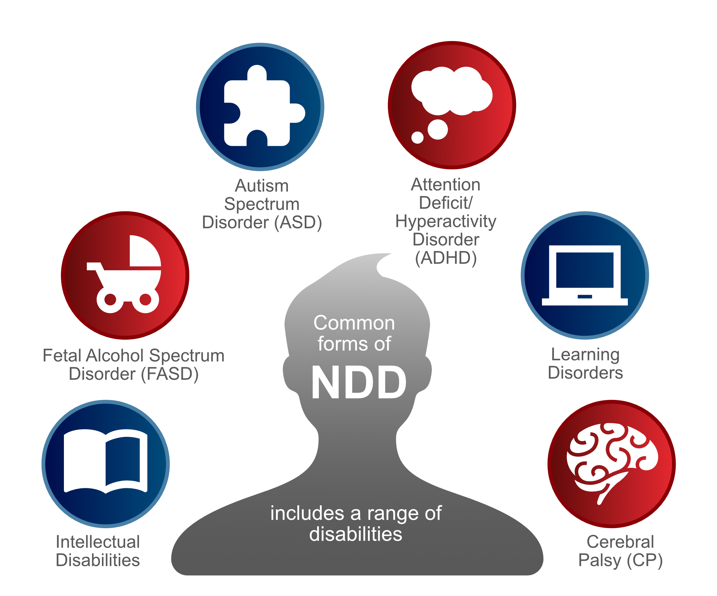 Common NDD disabilities