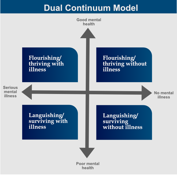 dual continuum model