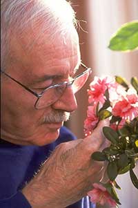 man peering at flowers
