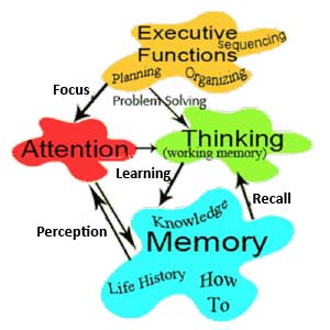 Elements of Cognition